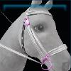 Black and white water bridle