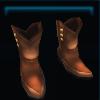 Brown Fall boots