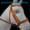 Brown parade bridle