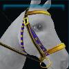 Yellow Halloween bridle