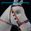 Blue birthday bridle