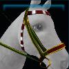 Green Rudolph bridle