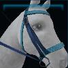 Blue leopard print bridle