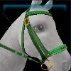 Green competition bridle