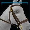 Brown standard bridle