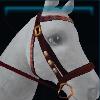 Traditional Epona bridle