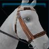 Brown pearl bridle
