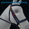 Blue frosty bridle