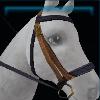Blue recreation bridle