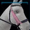 Pink recreation bridle