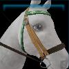 Green Winter riding bridle