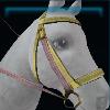 Pastel-colored Winter bridle