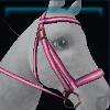Pink Valentine's Day bridle