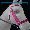 Pink bridle