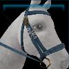 Blue terrain riding bridle