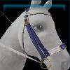 Purple exercise bridle