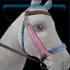 Pink walking bridle