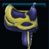 Blue and yellow riding saddle