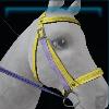 Blue and yellow riding bridle