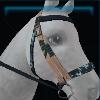 Speckled western bridle