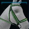 Green Fortuna bridle