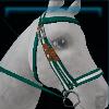White and green parade bridle
