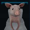 Smart pig