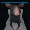 Naughty pig