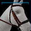 Traditional lighthouse keeper bridle