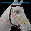 Pink farm bridle