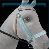 Blue parade bridle