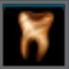 Wooden tooth