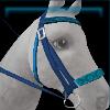 Blue water bridle