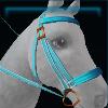 Blue ocean bridle