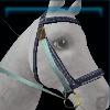 Turquoise Summer bridle