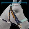Blue wave bridle