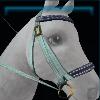 Blue Summer breeze bridle