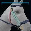 Blue deep sea bridle