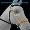 Yellow Summer vacation bridle