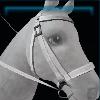 White VIP bridle