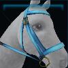 Blue/brown sporty bridle