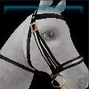 Black birthday bridle