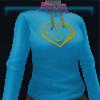 Light blue athletic hooded sweater