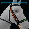 Spooky Halloween bridle