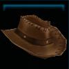 Stylish western hat