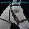 Elegant bridle