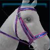 Colorful training bridle
