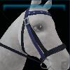 Stylish Winter bridle