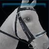 Trendy Winter bridle