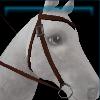 Dark Fall western bridle